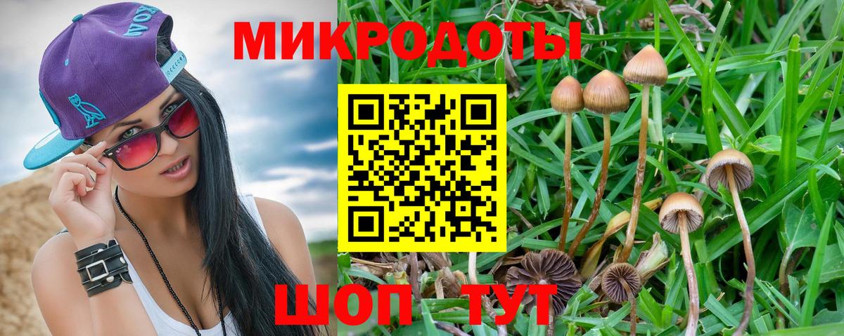 Галлюциногенные грибы Magic Shrooms  Вход с VPN  Ковров 